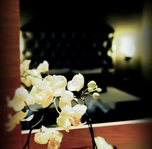 克里斯尼亚套房酒店